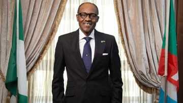 Dalilin da yasa na yi nadamar taya Buhari kamfen a 2015 - Tsohon mai shekaru 80