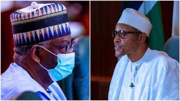 Opinion: Welcome on board Gambari, your time starts now! by Ochonu Ochonu