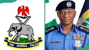 Police salary in Nigeria differs by rank, and a recent pay review changed things for junior officers