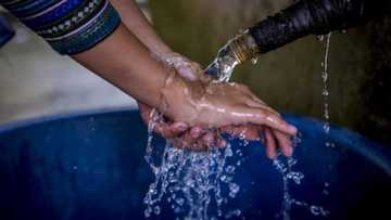 Annobar amai da gudawa ta halaka mutane 526 a jihohi 18