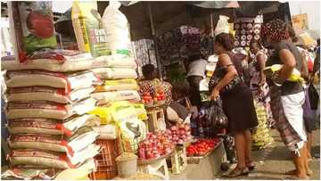 Legit.ng weekly price check: Bag of rice now N31,000, egusi now N120,000 after Sallah celebrations