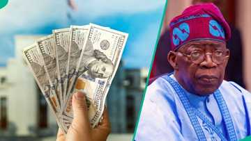 Tinubu set to borrow another $2.3bn via Eurobond, presidency explains decision