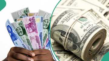 Naira crumbles in official market, traders quote new exchange rate for dollar