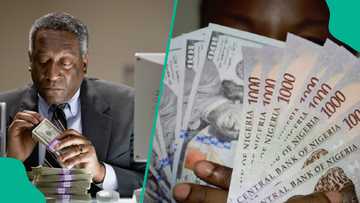 CBN eases dollar pressure with $86.6m sale as naira sells for new price in parallel market