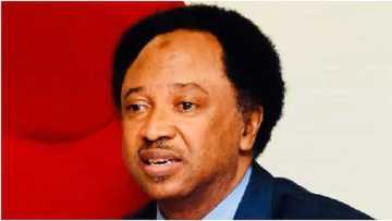 PDP, APC, LP: Shehu Sani Ya Faɗi Jam'iyyar Da Ya Kamata Gwamnoni Da Ke Fushi Da Jam'iyyarsu Su Shiga