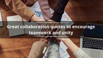 80 great collaboration quotes to encourage teamwork and unity