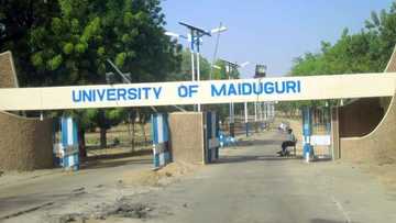 Jami’ar Maiduguri ta samar da gwamnoni 5 a Najeriyarmu ta yau (Hotuna)