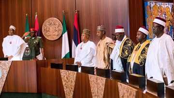 Gwamnatin Borno ta dauki sunayen wasu Matasa 300 da za a nemawa aikin-yi da sana'a