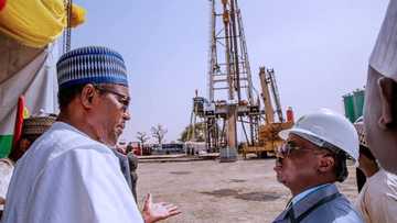 Aikin hako man fetur a Arewa maso Gabashin Najeriya yayi nisa – NNPC