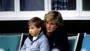 Prince William slams BBC over Princess Diana interview, says it worsened his parents' relationship