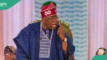 Tinubu’s govt sacks workers with degree from Togo, Benin Republic universities