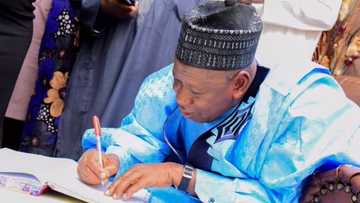 Yanzu-yanzu: Ganduje ya haramta wa almajirai bara a jihar Kano