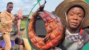"I was born into it": Adekunle Ajasin University Graduate dumps certificate, becomes a fish farmer