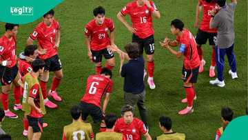 World Cup coach resigns after group stage exit as president demands investigation