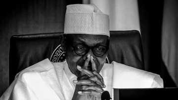 Rashin tsaro: Bani da tabbacin Buhari ya san halin da kasa ke ciki, Sanatan APC