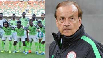 Analysis: Super Eagles coach Rohr lost only 3 games in 2019 (see how many wins he secured)