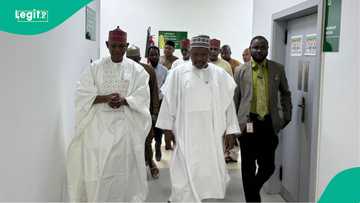 An kashe yaran Sheikh Ibrahim Khalil a Benue, gwamnan Kano ya yi magana mai zafi