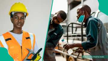 Step-by-step guide to applying for NAPEP’s training, N100,000 grants, and micro-credit