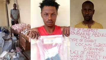 Bidiyo Da Hotunan Wani Ɗan Chadi Da Aka Kama Yana Sayarwa Boko Haram Miyagun Ƙwayoyi