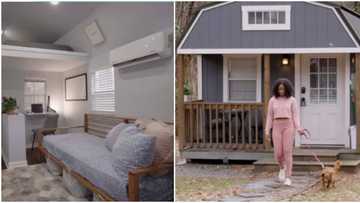 American woman abandons mansion to live in tiny home she built: "I live for free"