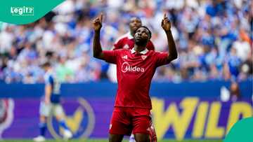 Kelechi Iheanacho: Super Eagles star scores crucial goal on Celtic debut, video
