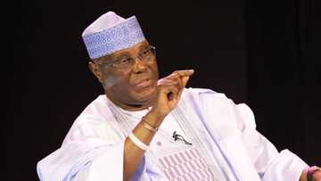 Tribunal: You have no right to challenge presidential result as you’re not a Nigerian - APC to Atiku