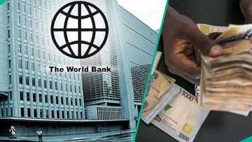 FG to share n25,000 monthly to Nigerians after borrowing another $208m