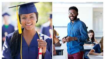 How a London University generates N5 trillion for government, creates jobs