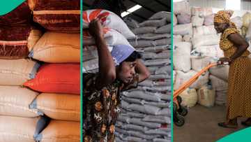 Nigerian lady who bought bag of rice at lower price finds out its new cost in market 1 week after