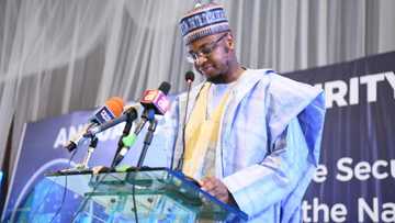 Pantami: Senate should not be blamed for clearing minister - Senator