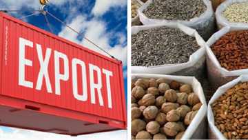 NPA opens export processing terminal in Lagos, to ease the processing of export cargoes