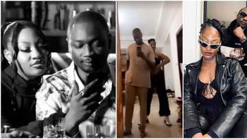 Tems' manager sparks dating rumour with birthday message to her, many react: "Make e no be wetin we dey think"