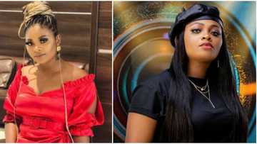 We made up: BBNaija's Tega talks about relationship with hubby, says she would have won the show