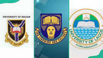 The top 10 nursing colleges in Nigeria ranked by fees, cut-off marks and what to expect