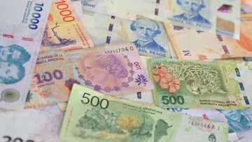 Argentine peso, stocks fall after ruling party's election setback