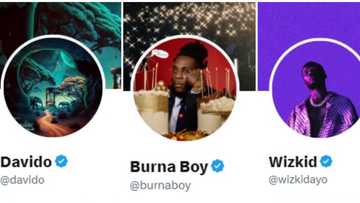 Burna Boy, Davido and Wizkid rejoin Twitter verified gang as Musk reportedly returns badges to celebs