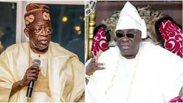 2023: Bola Tinubu moves closer to victory after securing major endorsement for presidency