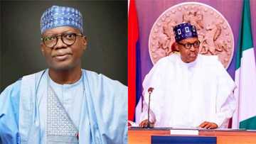 Why FG should be ruthless with bandits - Prominent APC senator reveals