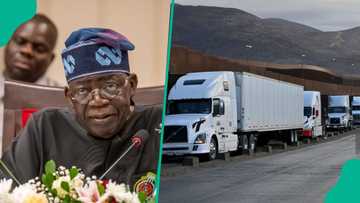 Haulage costs crash by over 60% at Apapa, Tin-can ports, Operators give reasons