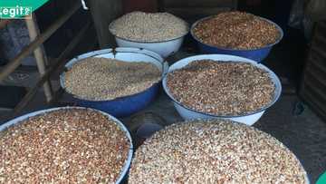 Traders increase prices for beans across major markets