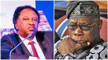 Shehu Sani opens up, shares what Obasanjo told him when they were sentenced to life imprisonment