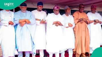 Yadda Tinubu ya barar da goyon bayan Arewa cikin shekaru 3 in ji kusa a ADC