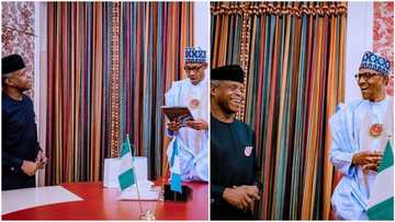 Buhari delighted as he receives Christmas gift from Osinbajo (photos)