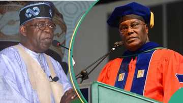 Tinubu pays school fees of rescued Chibok girls in Atiku's university, others, breakdown emerges