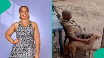 Lady whose father died shares what his dogs did the day he was taken to the hospital