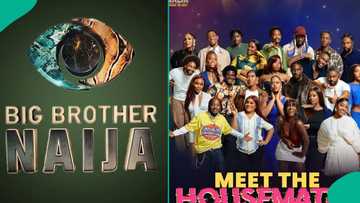 BBNaija S11: First finalist emerges as 11 housemates face eviction