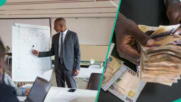 13x less: Salary of professors in Nigeria compared to other African countries