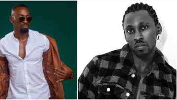Romeo no do pass this: Singer Orezi mocks Saga for losing focus on BBNaija's N90 million prize because of love