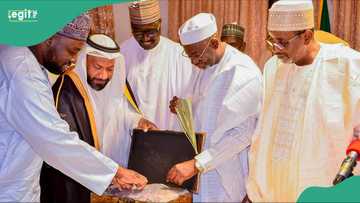 Masanan Saudiyya sun shigo Najeriya domin bunkasa noman dabino a Jigawa