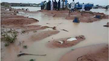 Yobe: Ƙaburbura 650 sun rufta sakamakon ambaliyar ruwa da ta mamaye maƙabarta